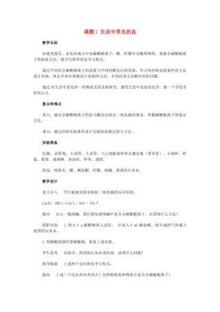 九年级化学下册 第十一单元 课题1 生活中常见的盐教案5 新人教版