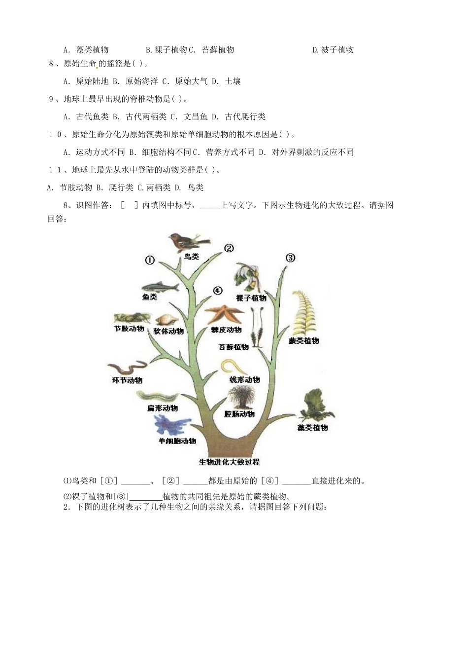 山东省胶南市隐珠街道办事处中学八年级生物《生物进化的历程》学案_第3页