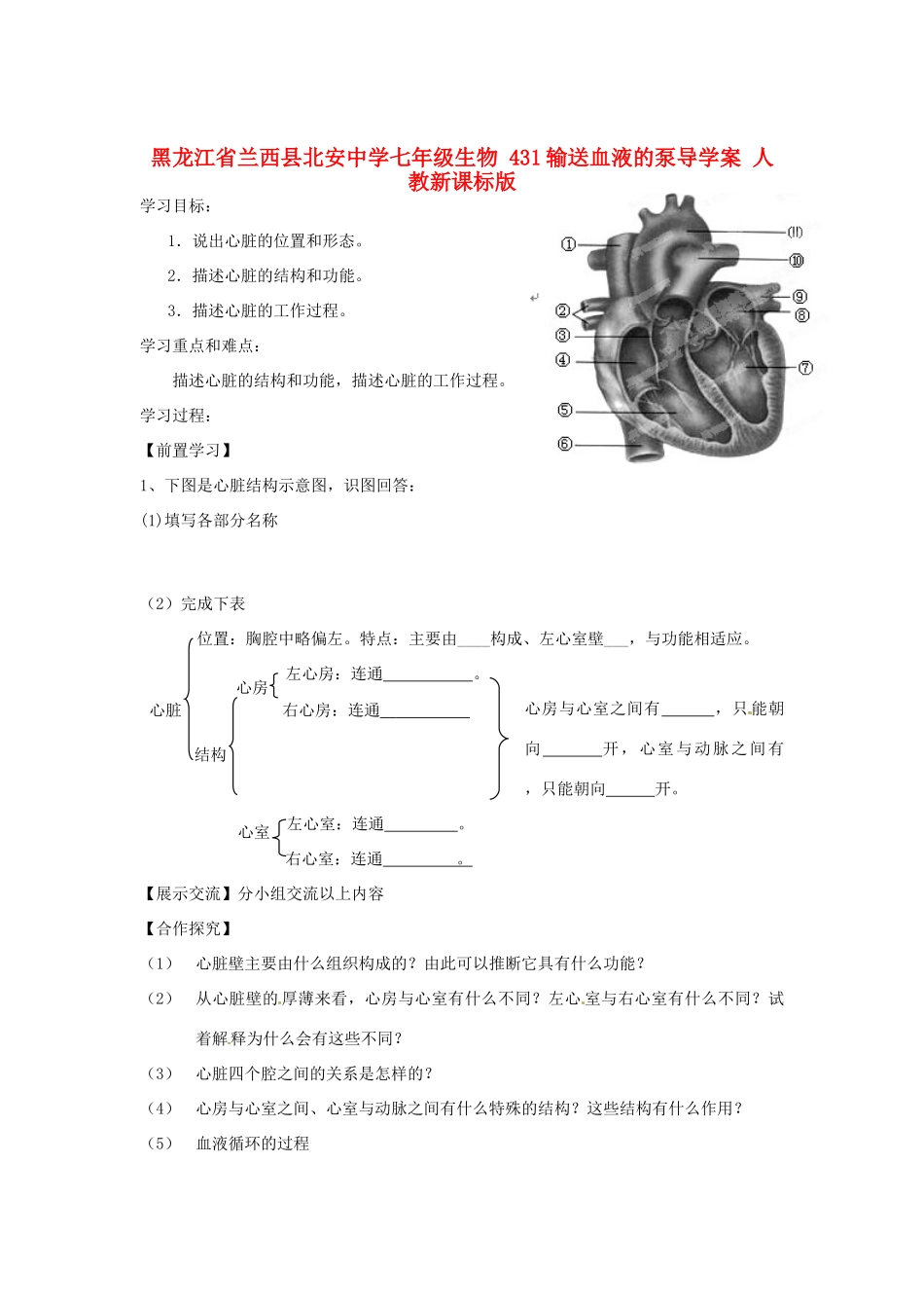 黑龙江省兰西县北安中学七年级生物 431输送血液的泵导学案 人教新课标版_第1页