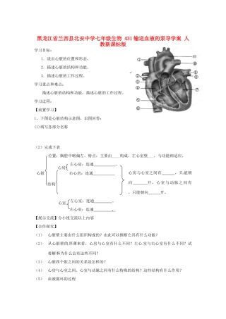 黑龙江省兰西县北安中学七年级生物 431输送血液的泵导学案 人教新课标版