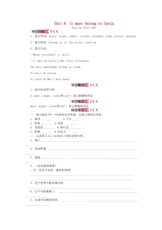 秋九年级英语全册 Unit 8 It must belong to Carla学案 （新版）人教新目标版-（新版）人教新目标版初中九年级全册英语学案