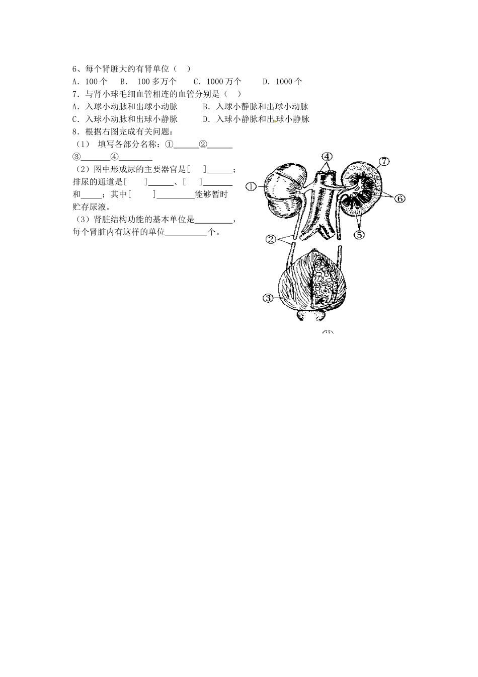 江苏省泰州市永安初级中学七年级生物下册 第4单元 第5章 人体内废物的排出（第1课时）导学案 （新版）新人教版_第2页