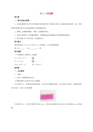九年级数学上册 19.1 二次函数导学案 （新版）北京课改版-北京课改版初中九年级上册数学学案