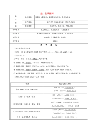 黑龙江省鸡西市恒山区中考化学 第7讲 盐、化学肥料复习教案2-人教版初中九年级全册化学教案