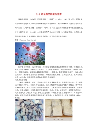 九年级化学下册 9.4 常见毒品种类与危害素材 （新版）粤教版