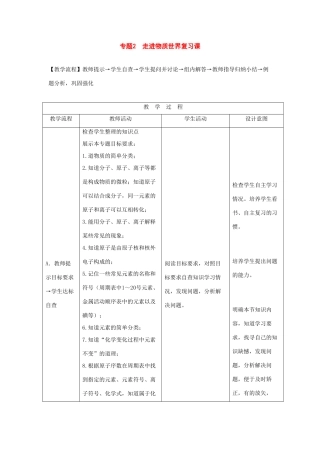 九年级化学上册《专题2走进物质世界》复习教案湘教版