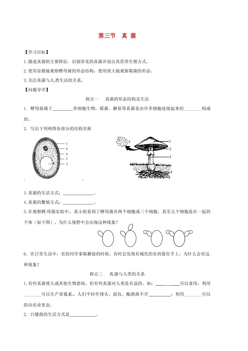 山东省东营市第二中学七年级生物《真菌》学案_第1页
