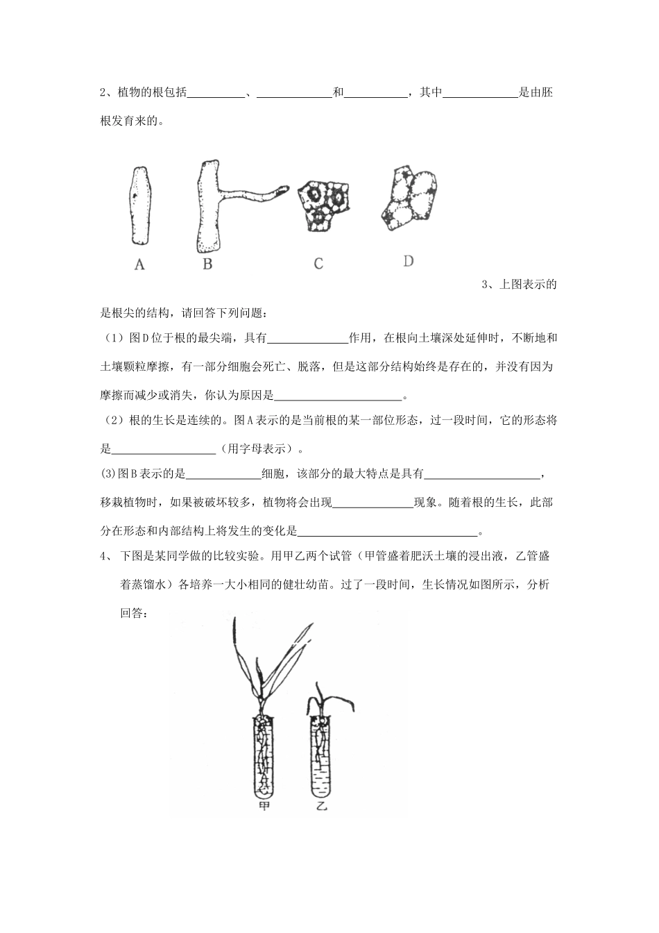 八年级生物上册 1.5根的结构和功能导学案 济南版_第3页