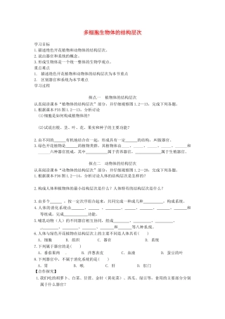 山东省单县希望初级中学七年级生物上册 1.2.3 多细胞生物体的结构层次导学案（无答案） 济南版