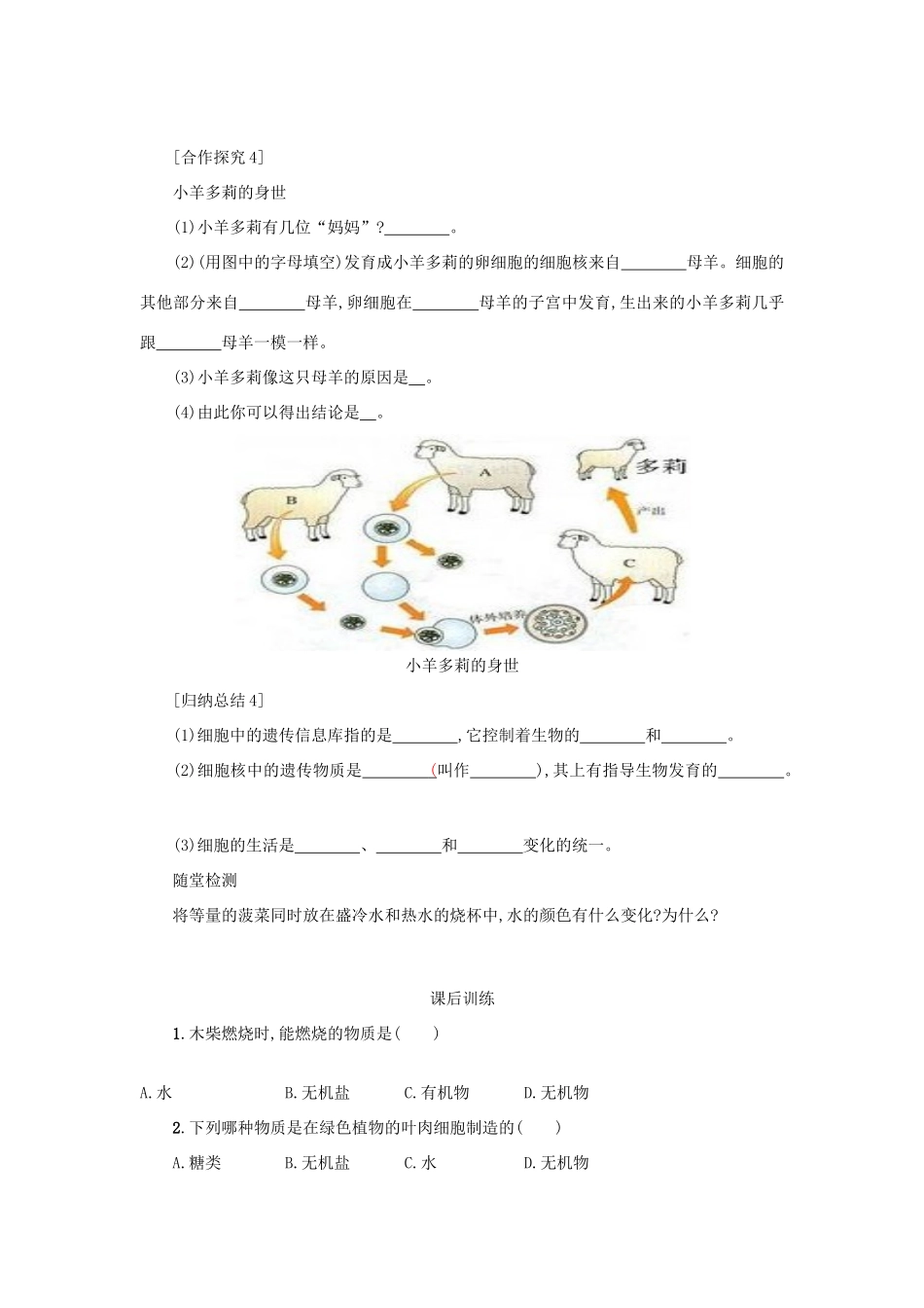 山西省吕梁市临县四中七年级生物上册 2.1.4 细胞的生活学案 （新版） 新人教版-新人教版初中七年级上册生物学案_第3页