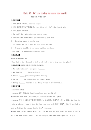 九年级英语全册《Unit 13 We’re trying to save the earth（第4课时）》学案 （新版）人教新目标版-（新版）人教新目标版初中九年级全册英语学案