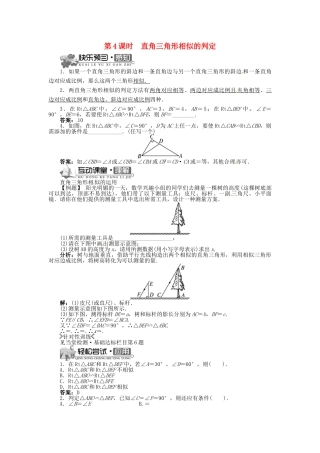 九年级数学上册 22.2 相似三角形的判定（第4课时）精品导学案 （新版）沪科版-（新版）沪科版初中九年级上册数学学案
