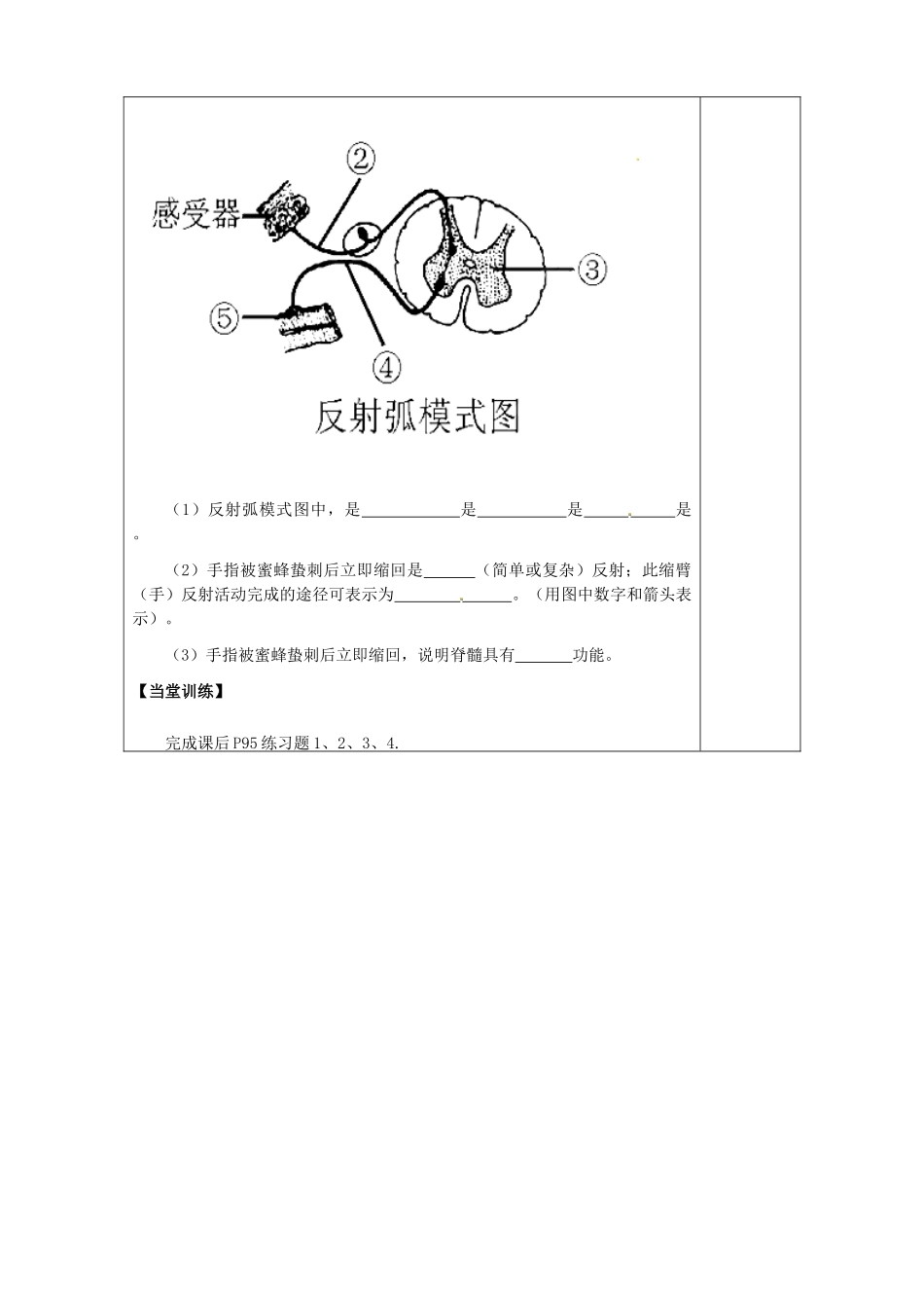 陕西省西安市庆安高级中学七年级生物下册 4.6.3 神经调节的基本方式导学案（无答案） 新人教版_第2页