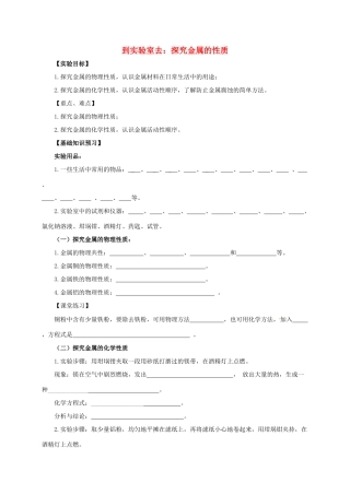 九年级化学下册 第九单元 金属 到实验室去：探究金属的性质教案 （新版）鲁教版-（新版）鲁教版初中九年级下册化学教案