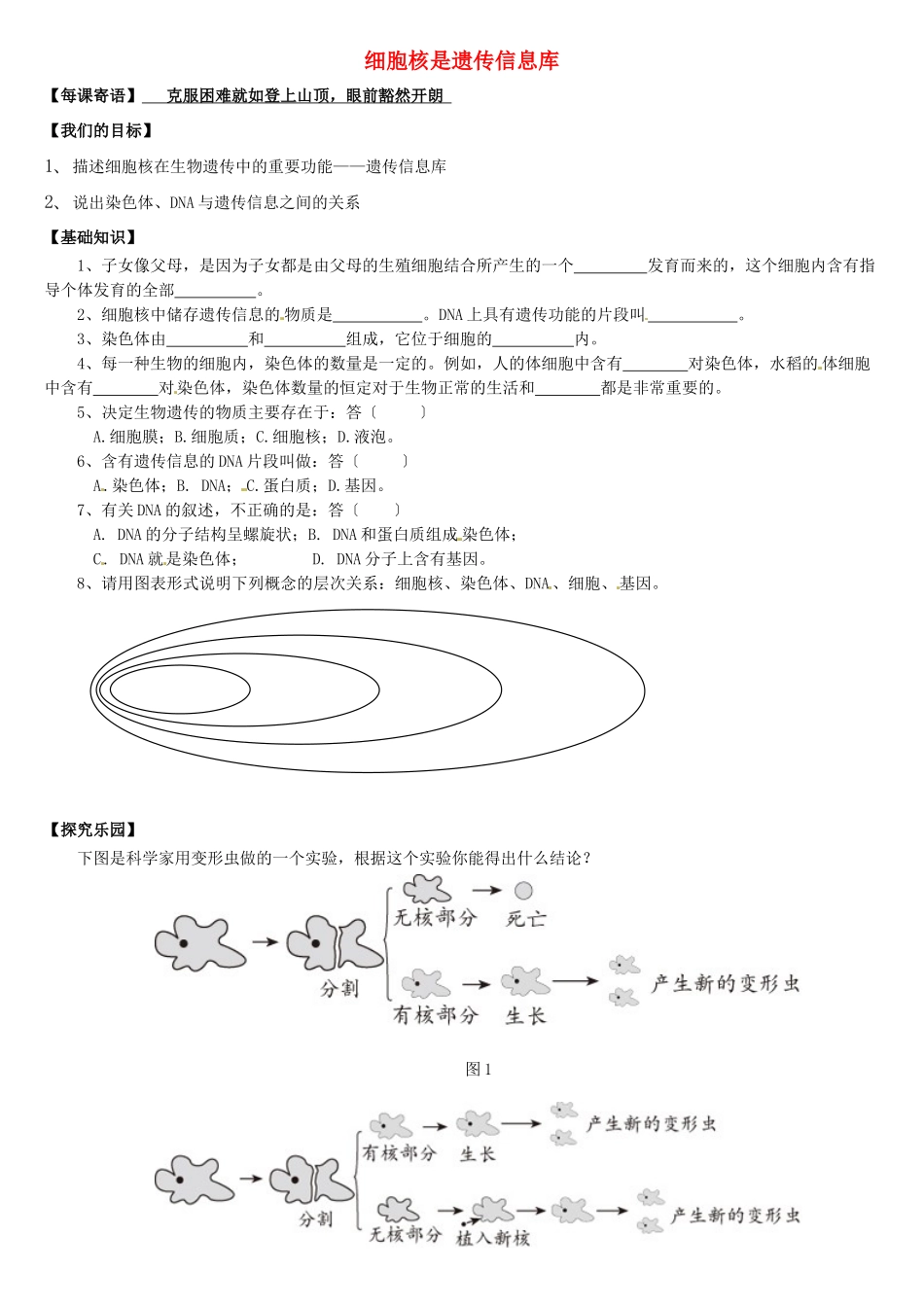 天津市小站第一中学七年级生物上册 2.2.2 细胞核是遗传信息库导学案（无答案） 新人教版_第1页