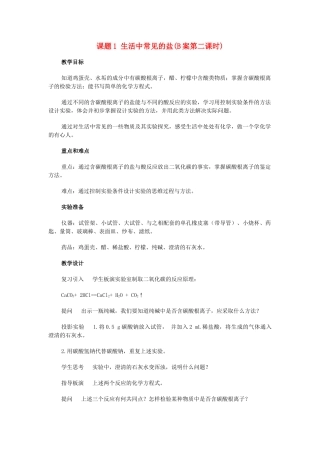 九年级化学下册 11.1生活中常见的盐(第二课时)教案 人教新课标版