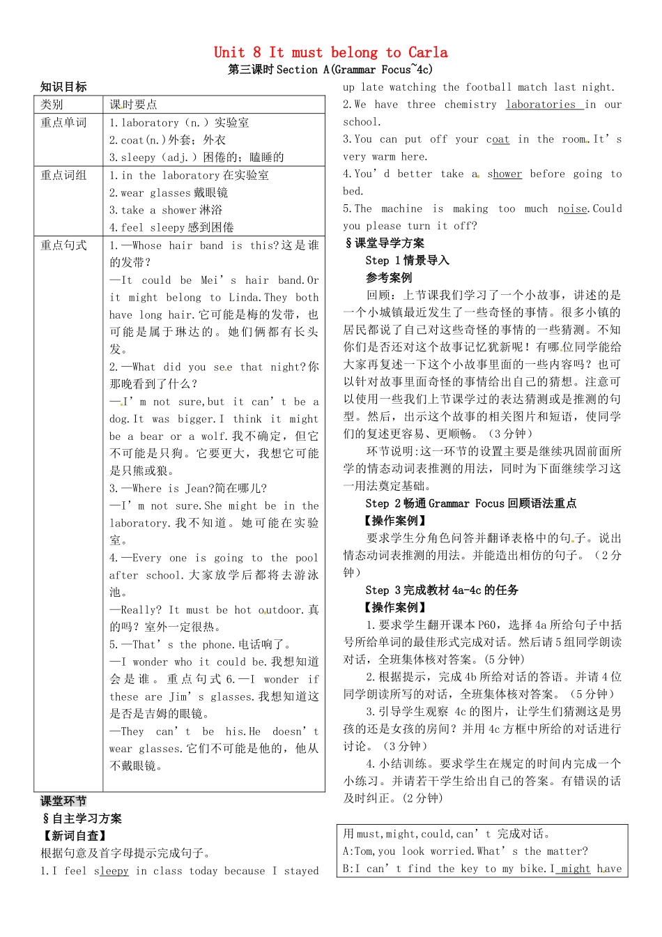 九年级英语全册 Unit 8 It must belong to Carla（第3课时）导学案 （新版）人教新目标版-（新版）人教新目标版初中九年级全册英语学案_第1页