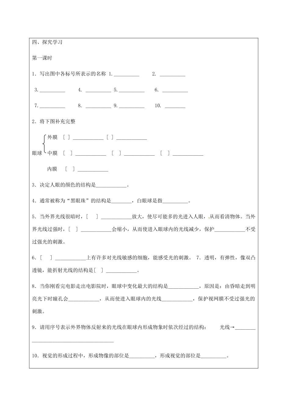 辽宁省法库县七年级生物下册 12.3人体感知信息学案 苏教版-苏教版初中七年级下册生物学案_第3页