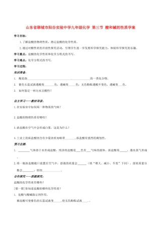 山东省聊城市阳谷实验中学九年级化学 第三节 酸和碱的性质学案