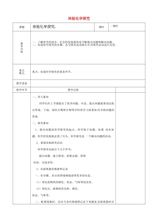 山东省茌平县洪屯中学九年级化学 体验化学探究复习教案