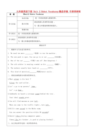 九年级英语下册 Unit 2 Robot Vocaburay精品学案 牛津译林版