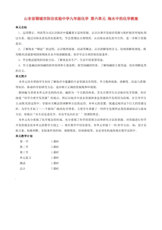 山东省聊城市阳谷实验中学九年级化学 第六单元 海水中的化学教案