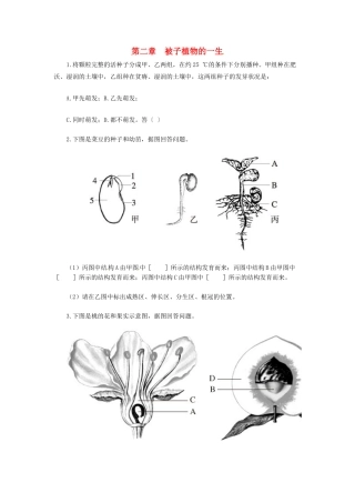天津市小站第一中学七年级生物上册 3.2 被子植物的一生综合测评（无答案） 新人教版