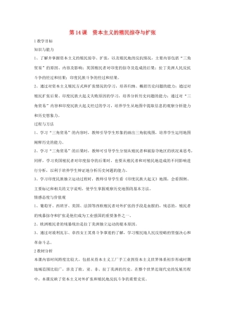 九年级历史上册 第14课 资本主义的殖民掠夺与扩张教案1 中华书局版-中华书局版初中九年级上册历史教案