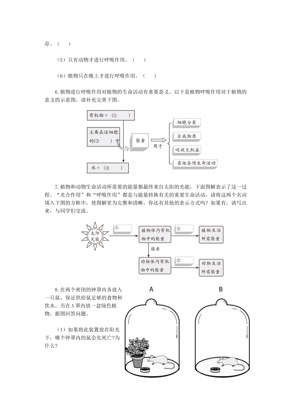 天津市小站第一中学七年级生物上册 3.4 绿色植物是生物圈中有机物的制造者综合侧评 新人教版_第2页