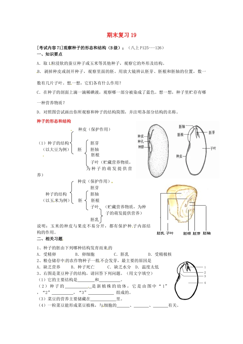 江苏省徐州市王杰中学八年级生物下册《期末复习19—观察种子的形态和结构》学案 苏科版_第1页