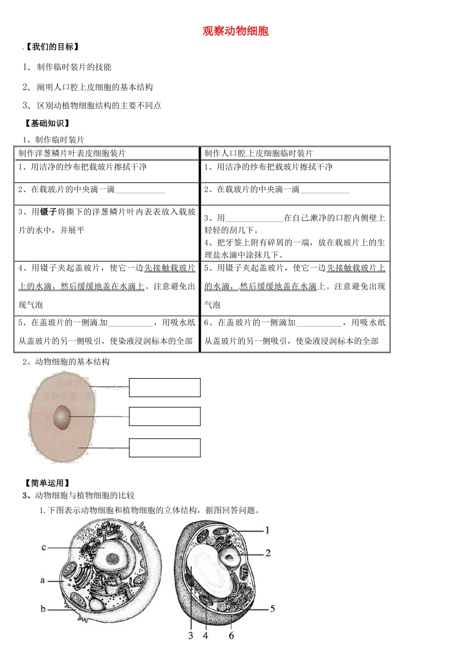 天津市小站第一中学七年级生物上册 2.1.3 观察动物细胞导学案（无答案） 新人教版_第1页