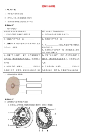 天津市小站第一中学七年级生物上册 2.1.3 观察动物细胞导学案（无答案） 新人教版