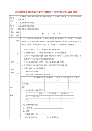 山东省聊城市阳谷实验中学九年级化学《大气中的二氧化碳》教案