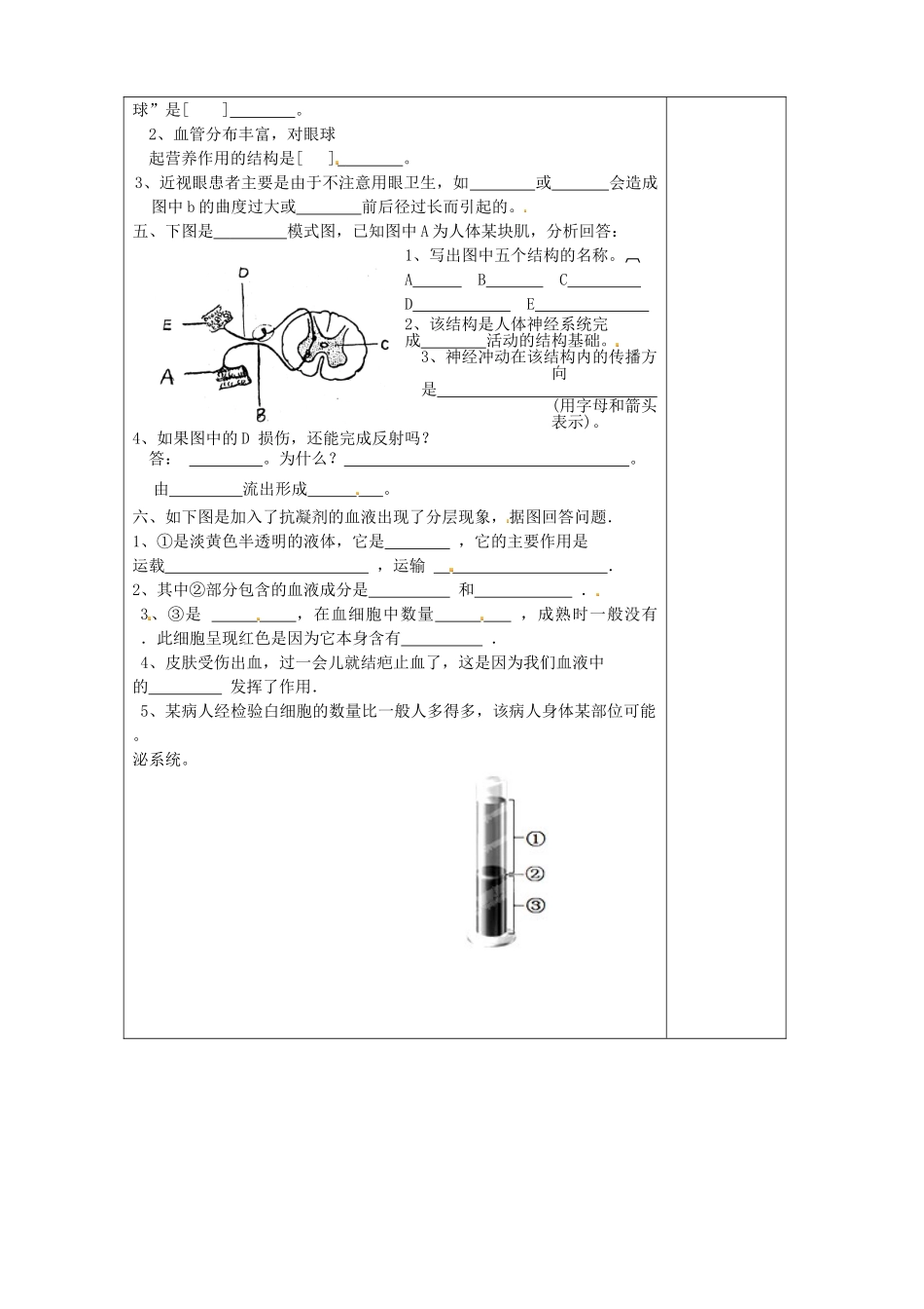陕西省西安市庆安高级中学七年级生物下册 复习提纲导学案2（无答案） 新人教版_第2页