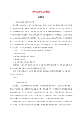 九年级化学下册 10.2 化学元素与人体健康教学案 鲁教版-鲁教版初中九年级下册化学教学案