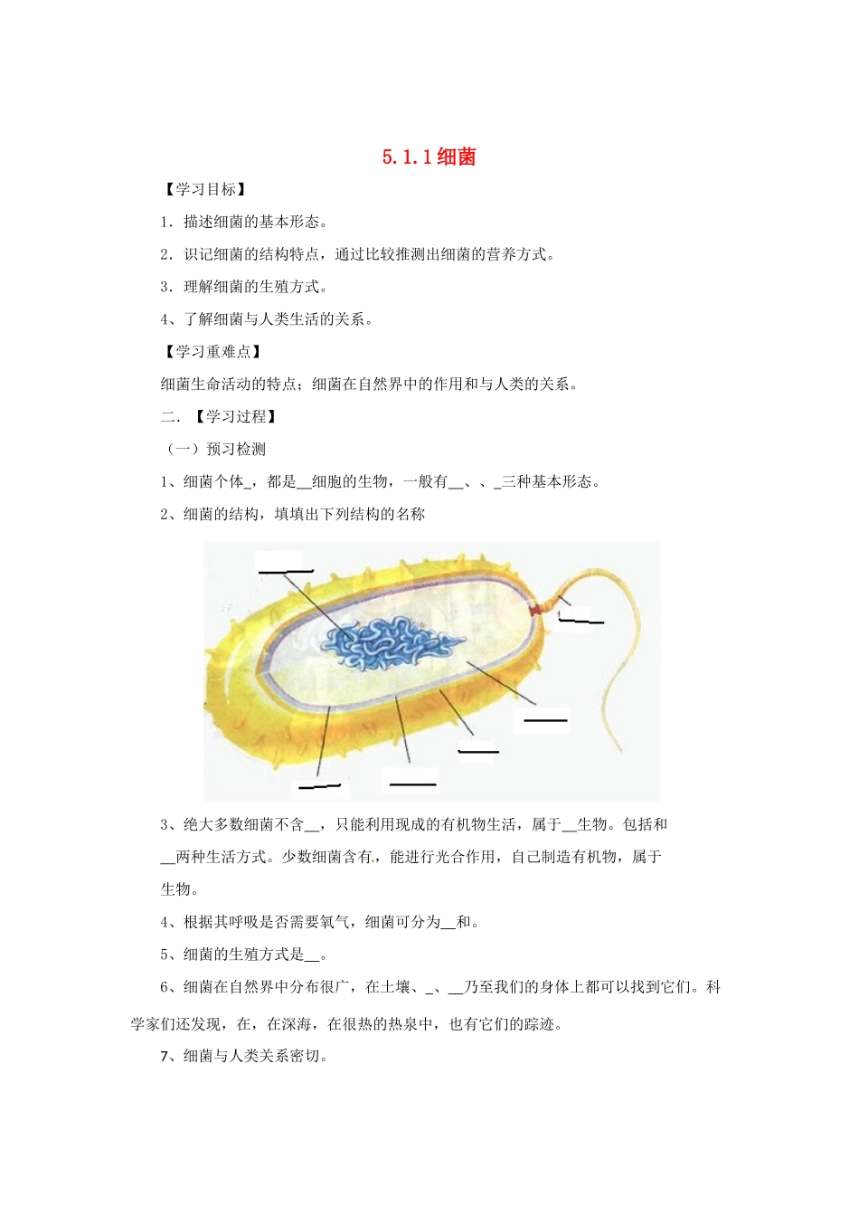 八年级生物上册 5.1.1 细菌导学案 （新版）冀教版-（新版）冀教版初中八年级上册生物学案_第1页