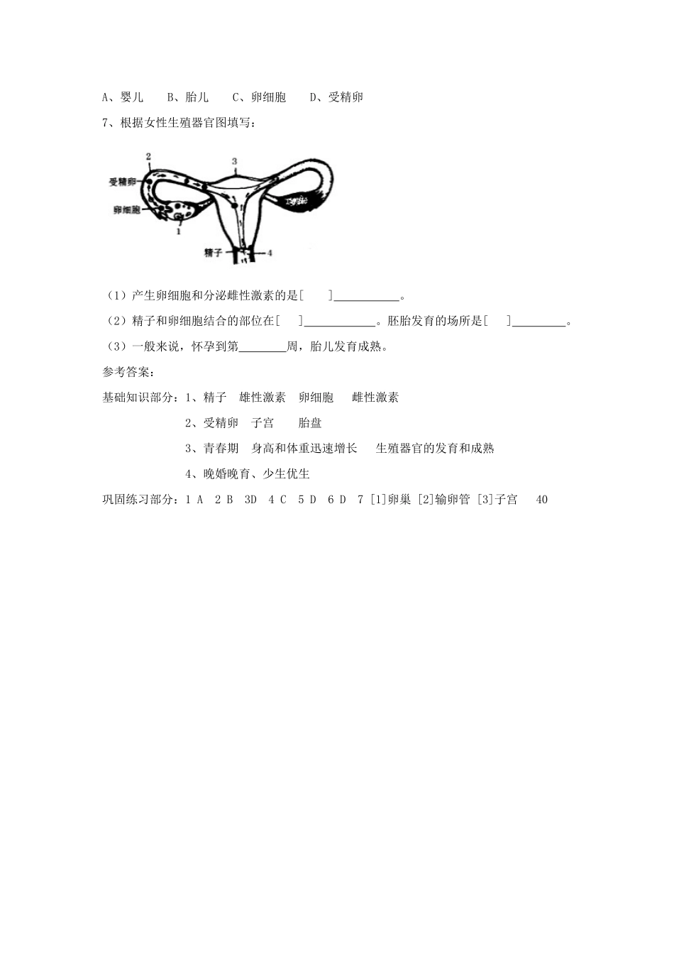 八年级生物上：第四单元第三章人类的生殖和发育复习学案济南版_第2页