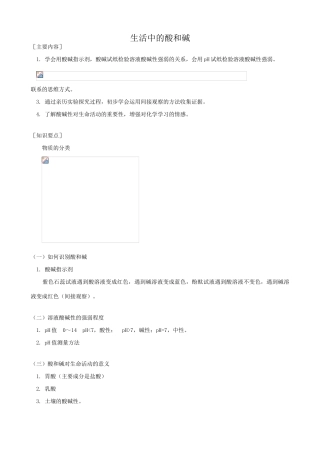 九年级化学生活中的酸和碱鲁教版
