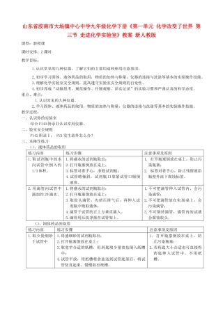 山东省胶南市大场镇中心中学九年级化学下册《第一单元 化学改变了世界 第三节 走进化学实验室》教案 新人教版