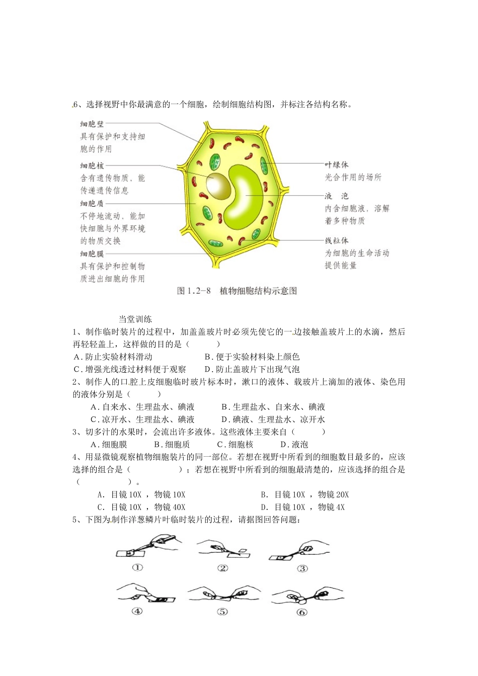 山东省单县希望初级中学七年级生物上册 1.2.1 细胞的结构和功能导学案（无答案） 济南版_第2页