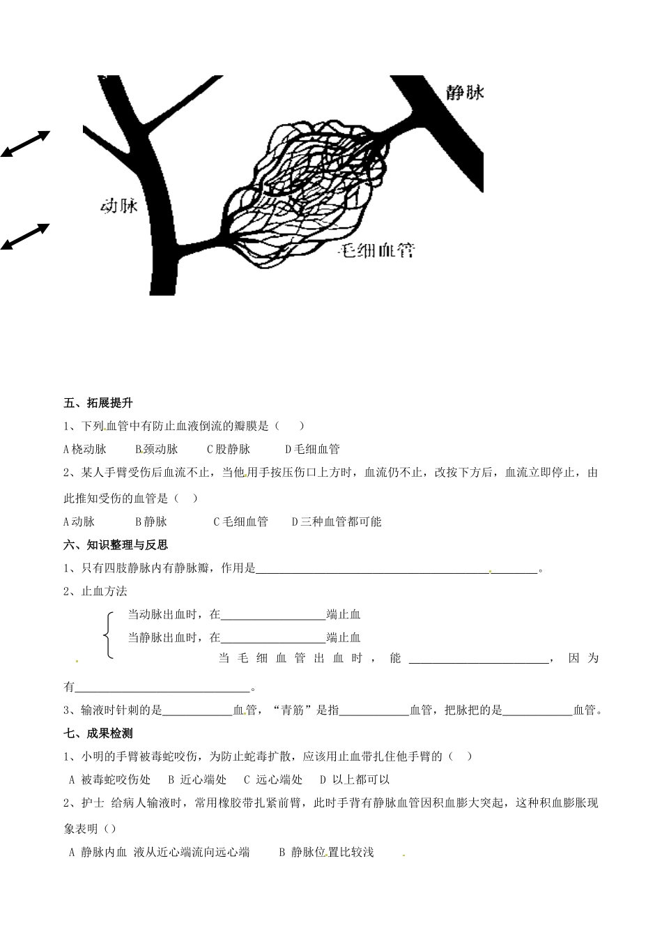 湖南省衡阳市逸夫中学七年级生物下册 第四章 第二节 血流的管道--血管（第2课时）学案（无答案）_第2页