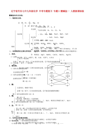 辽宁省丹东七中九年级化学 中考专题复习 专题3 酸碱盐一 人教新课标版
