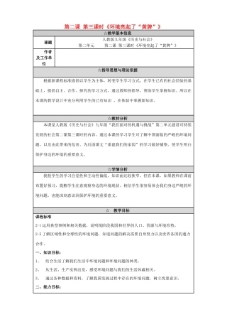 九年级历史与社会全册《环境亮起了“黄牌”》教案 人教版