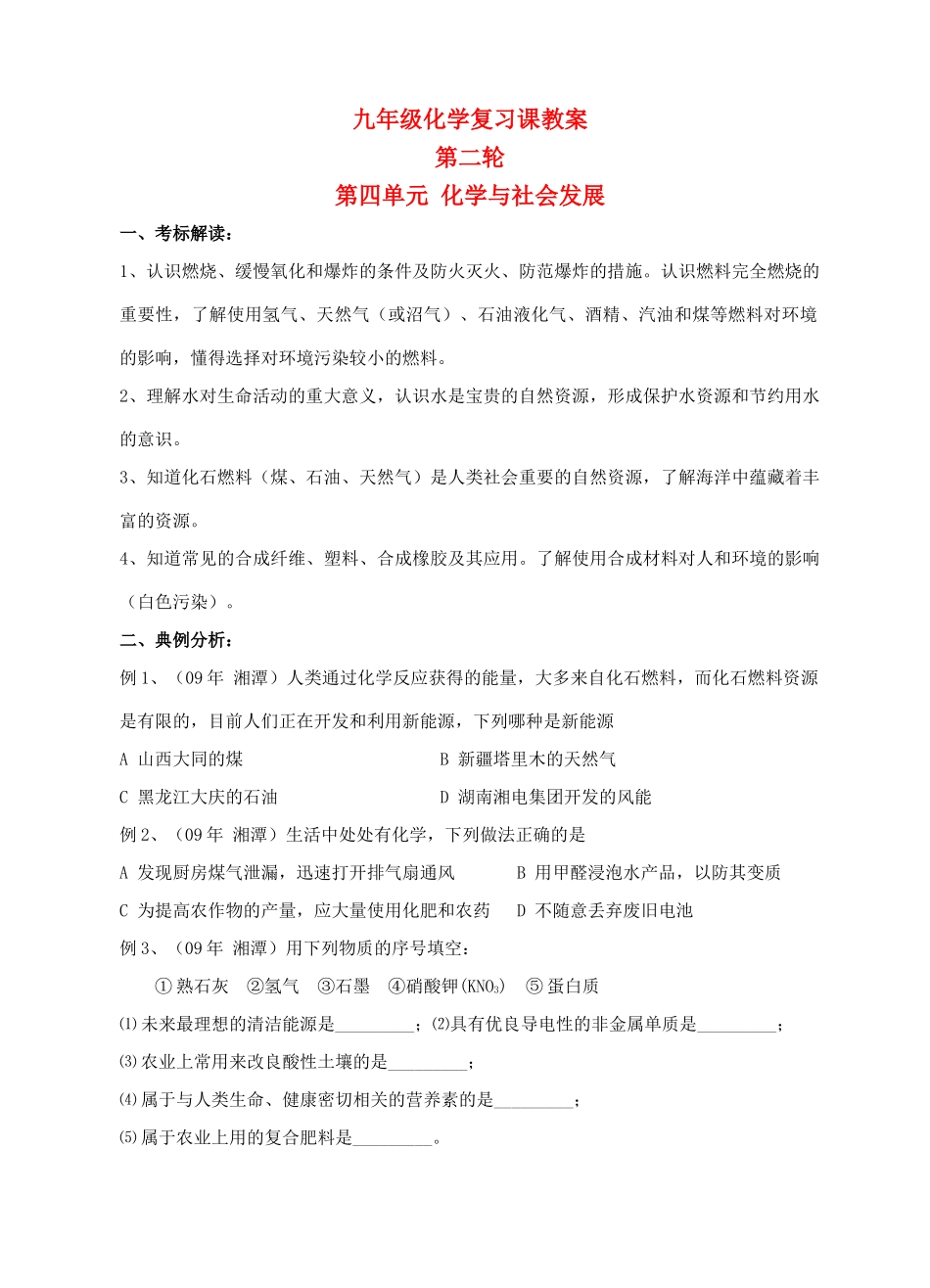 九年级化学第二轮考标复习 化学与社会发展教案 人教新课标版_第1页