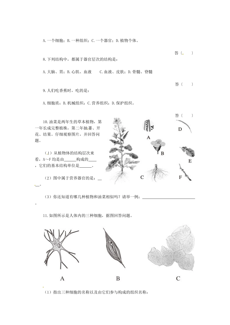 天津市小站第一中学七年级生物上册 2.3 细胞怎样构成生物体综合测评 新人教版_第2页