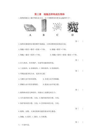 天津市小站第一中学七年级生物上册 2.3 细胞怎样构成生物体综合测评 新人教版