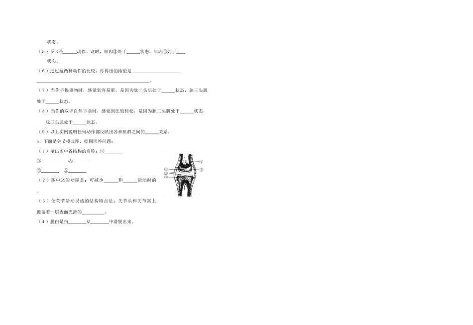 山西省大同铁一中八年级生物上册 第一节　动物的运动学案(无答案) 人教新课标版_第2页