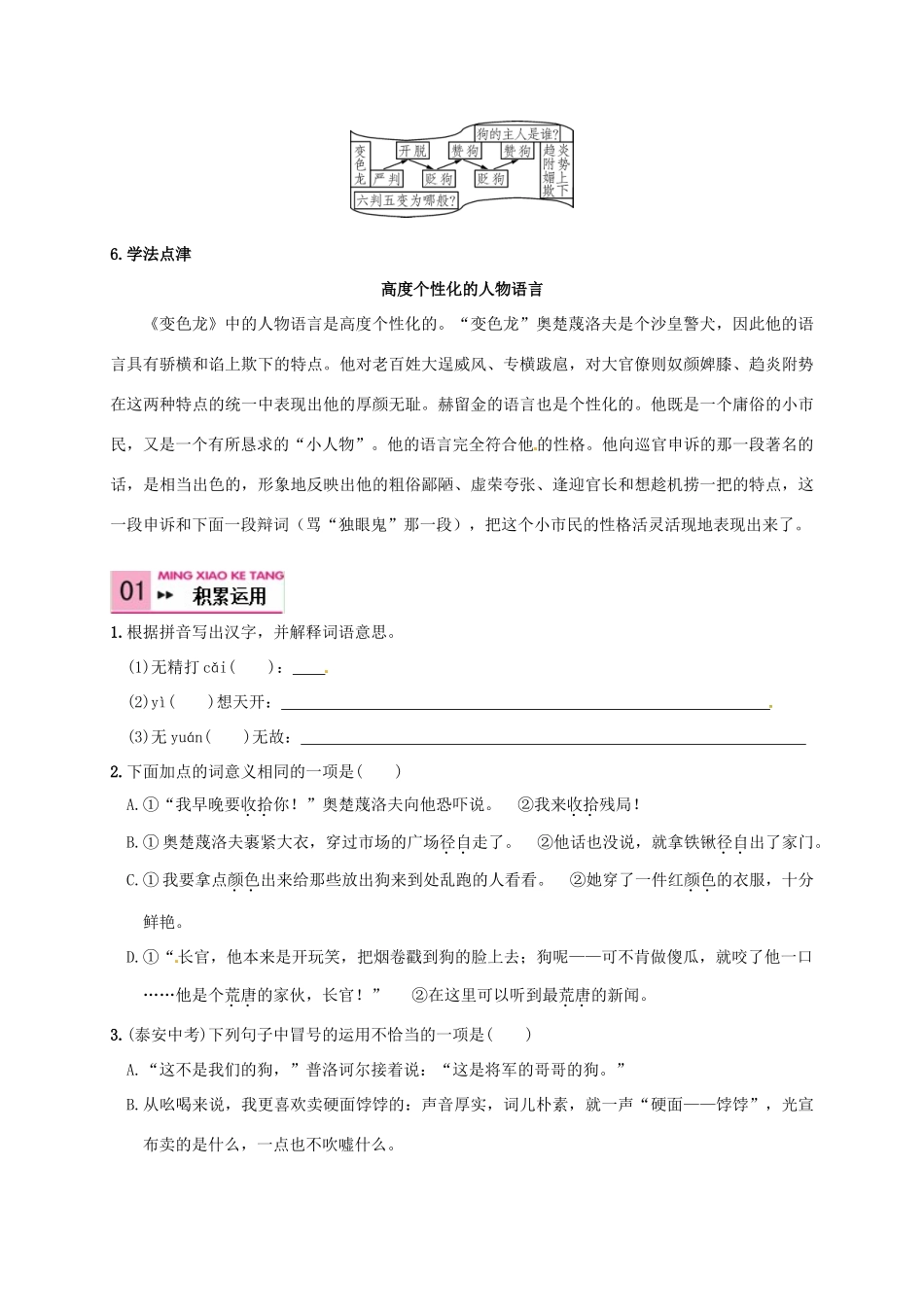九年级语文下册 7《变色龙》学案3 新人教版-新人教版初中九年级下册语文学案_第2页