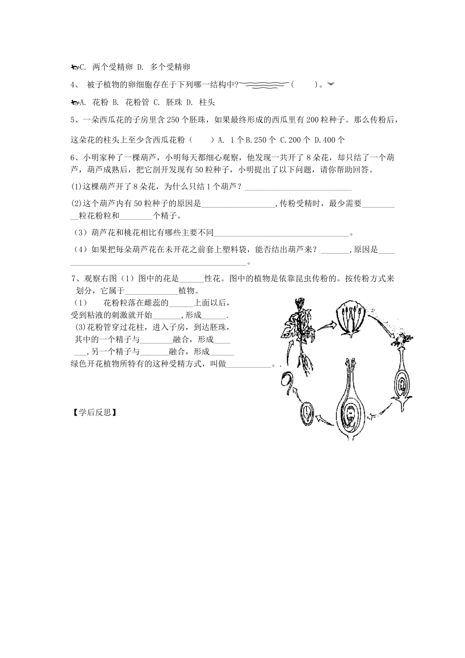 山东省重点中学八年级生物上册 1.2第二课时《传粉与受精》学案 济南版_第2页