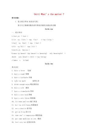 山西省洪洞县中考英语一轮复习 Unit 1 What’s the matter导学案（无答案）-人教版初中九年级全册英语学案